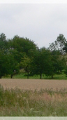 P1960271pan_02.jpg, 14 kB