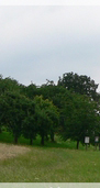 P1960271pan_05.jpg, 13 kB