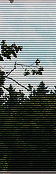 P1500875pan_02.jpg, 11kB