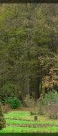 P1820182pan_05.gif, 16 kB