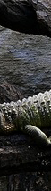 P1560926panorama_04.jpg, 11 kB